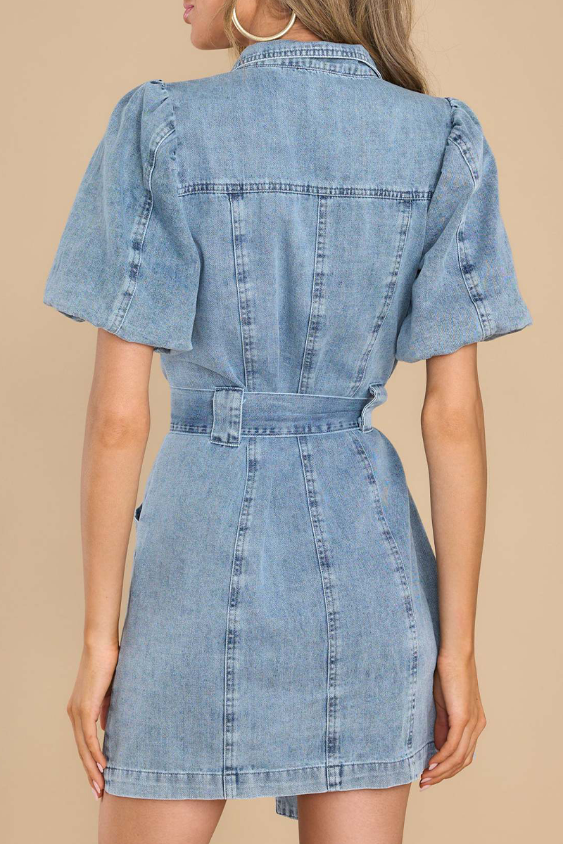 Casual Solid Pocket Turndown Collar Long Sleeve Denim Dresses